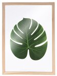 2 cadres en bois pour Herbier A4