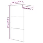 vidaXL Paroi de douche Argenté 100x195 cm Verre ESG transparent