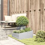vidaXL Cache-pot de jardin Argent 60 x 60 x 50 cm Acier inoxydable