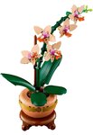 LEGO Botanicals - L'orchidée miniature - Set de construction 10343 pour adultes