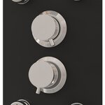 vidaXL Panneau de douche Verre 25x47 5x130 cm Noir