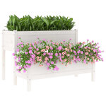 vidaXL Jardinière Blanc 110x84x75 cm Bois massif de pin