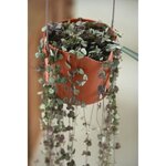 Pot de fleurs Rond VIBIA - Plastique Réservoir - Ø 35 - Jaune Miel