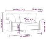 vidaXL Canapé 2 places avec oreillers gris clair 120 cm velours