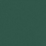 vidaXL Auvent latéral rétractable vert foncé 120x600 cm