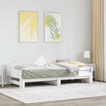 vidaXL Lit de jour et lit gigogne sans matelas 90x190 cm bois massif