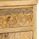 vidaXL Table de chevet Bois de manguier massif 40x30x50 cm
