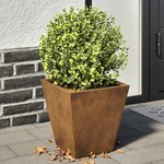 vidaXL Jardinières 2 Pièces 30x30x30 cm acier résistant aux intempéries