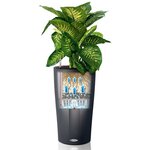 LECHUZA Jardinière Cilindro Color 32 ALL-IN-ONE Ardoise 13953