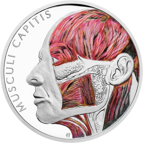 Pièce de monnaie en Argent 1 Dollar g 31.1 (1 oz) Millésime 2025 Human Body HEAD MUSCLES (PRÉCOMMANDE)