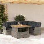 vidaXL Salon de jardin 2 Pièces avec coussins Gris Résine tressée