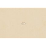 Chemise à élastiques Maxi capacity carte lustrée 425g Nature Future A4 Ivoire CARTOREL