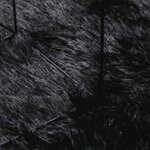 vidaXL Tapis shaggy à poils longs NAVARRA noir 300x200 cm polyester