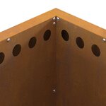 vidaXL Foyer sans fumée Marron 48 x 48 x 50 cm Acier Corten