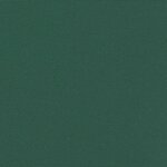 vidaXL Auvent latéral rétractable vert foncé 120x1200 cm