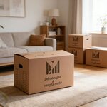 Lot de 20 cartons 50x30x30 cm poignées renforcées double épaisseur + 1 rouleau adhésif 68 m