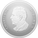 Pièce de monnaie en Argent 20 Dollars g 31.39 Millésime 2025 REMEMBRANCE DAY
