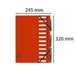 Trieur HARMINIKA à Fenêtres et Élastiques 12 Compartiments Rouge EXACOMPTA