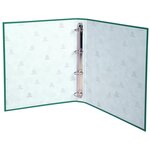 Classeur Rembordé Polypropylène 4 Anneaux 30mm - A4 - Vert - X 20 - Exacompta