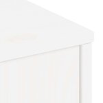 vidaXL Meuble TV avec tiroir ODDA blanc 79x24x40 cm bois massif pin