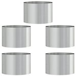 vidaXL Pots de jardin 5 Pièces Argent 30 x 30 x 20 cm Acier galvanisé