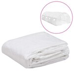 vidaXL Couverture de remplacement de serre (18 m²) 3x6x2 m Transparent