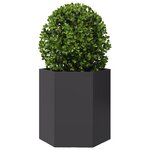 vidaXL Jardinière noir hexagone 46x40x45 cm acier
