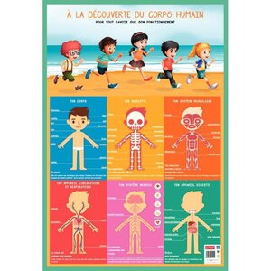 Poster Le corps humain 76 x 52 cm