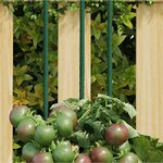 vidaXL Piquets pour plantes de jardin 30 Pièces vert 60 cm acier