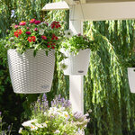LECHUZA Jardinière suspendue NIDO Cottage 28 ALL-IN-ONE Blanc