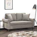 vidaXL Canapé 2 places oreillers et coussins Gris clair 120 cm Velours