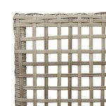 Chaises de jardin vidaXL 2 Pièces avec coussins Gris clair en poly rattan