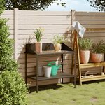 vidaXL Support pour plantes anthracite 100x54 5x100 cm acier galvanisé