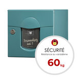 Boîte aux lettres 2 portes soléa vert 6033 finition brillante