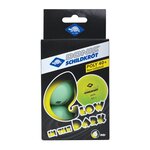 Schildkröt 608507 - Boîte de 6 balles de tennis de table