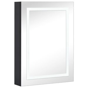 vidaXL Armoire de salle de bain à miroir LED 50x13x70 cm