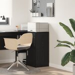 vidaXL Cabinet de Rangement en Chêne Noir Chêne Noir