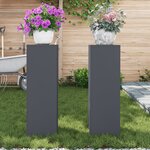 vidaXL Supports de Plantes Extérieurs Pillar 2 Pièces Anthracite 24x24x75 cm Acier