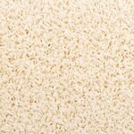 vidaXL Tapis d'escalier 15 Pièces crème 65x21x4 cm
