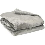 Couverture microflanelle 180 x 220 cm perle