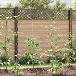 Supports de plantes en spirale vidaXL 5 Pièces 150 cm en acier galvanisé