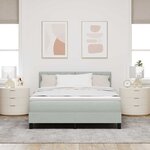 Lit à ressort vidaXL avec matelas Gris clair 160x200 cm Velours