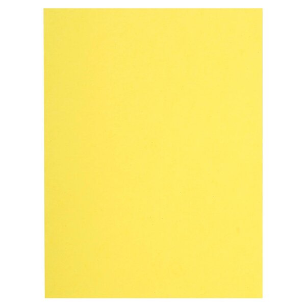 Paquet De 100 Sous-chemises Flash 80 100  Recyclé - 22x31cm - Canari - X 10 - Exacompta