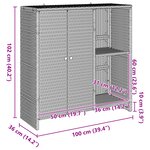 Armoire de rangement vidaXL Grise 100x36x102 cm Rattan