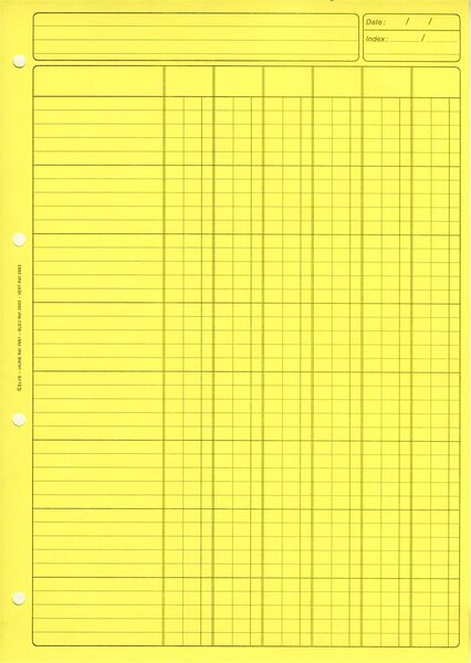 Bloc Audit 6 Colonnes + entête 297X210 80 Pages Jaune ELVE