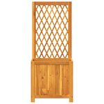 vidaXL Jardinière avec treillis 55x29 5x132 cm bois massif d'acacia