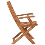 vidaXL Chaises pliantes de jardin avec accoudoir lot de 2