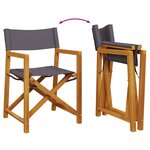 vidaXL Chaises de réalisateur pliables lot de 2 gris foncé tissu