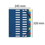 Trieur HARMONIKA à fenêtres et élastiques carte lustrée 24 comp. Bleu EXACOMPTA