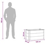 vidaXL Jardinière surélevée Marron 100 x 50 x 54 cm WPC et Aluminium